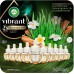 Botanica by Air Wick Plug in Scented Oil Refill, 10ct, Caribbean Sweetgrass and Sandalwood, Air Freshener, Eco Friendly, Essential Oils